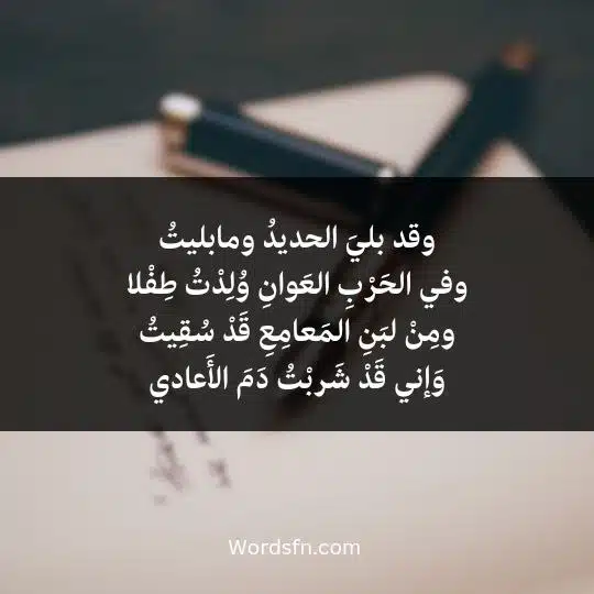 وقد بليَ الحديدُ ومابليتُ وفي الحَرْبِ العَوانِ وُلِدْتُ طِفْلا ومِنْ لبَنِ المَعامِعِ قَدْ سُقِيتُ وَإني قَدْ شَربْتُ دَمَ الأَعادي