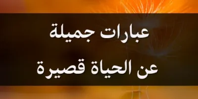 عبارات جميلة عن الحياة قصيرة