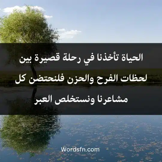 الحياة تأخذنا في رحلة قصيرة بين لحظات الفرح والحزن، فلنحتضن كل مشاعرنا ونستخلص العبر