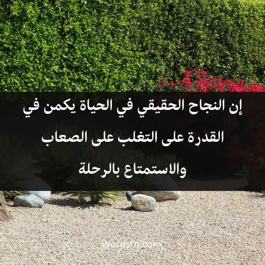 إن النجاح الحقيقي في الحياة يكمن في القدرة على التغلب على الصعاب والاستمتاع بالرحلة