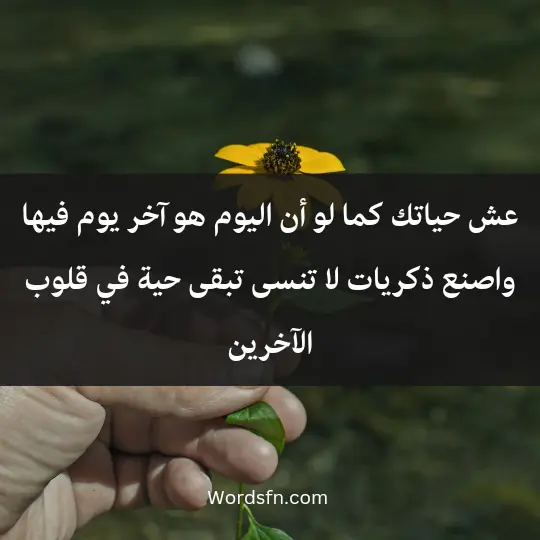 عش حياتك كما لو أن اليوم هو آخر يوم فيها، واصنع ذكريات لا تنسى تبقى حية في قلوب الآخرين