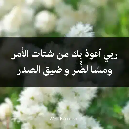 ربي أعوذ بك من شتات الأمر ومسّا لضُّر و ضيق الصدر