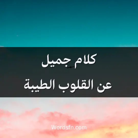 كلام جميل عن القلوب الطيبة