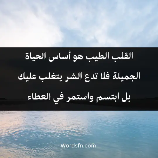 Beautiful words about good hearts2 - فن العبارات القلب الطيب هو أساس الحياة الجميلة، فلا تدع الشر يتغلب عليك، بل ابتسم واستمر في العطاء