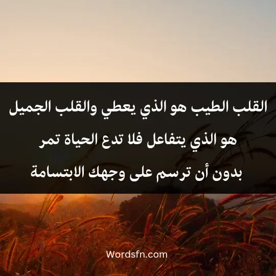 Beautiful words about good hearts3 - فن العبارات القلب الطيب هو الذي يعطي، والقلب الجميل هو الذي يتفاعل، فلا تدع الحياة تمر بدون أن ترسم على وجهك الابتسامة