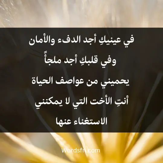 Beautiful words about sister1 - فن العبارات في عينيكِ أجد الدفء والأمان، وفي قلبكِ أجد ملجأً يحميني من عواصف الحياة. أنتِ الأخت التي لا يمكنني الاستغناء عنها