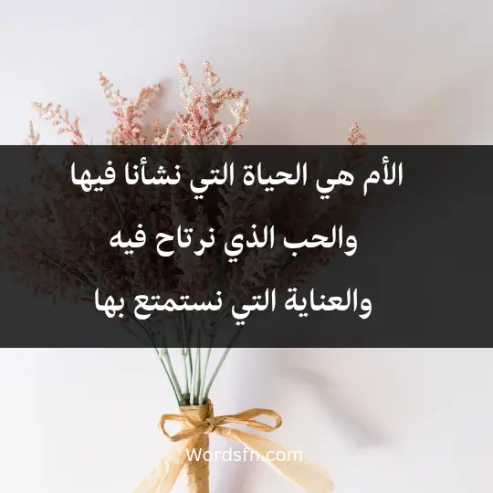 الأم هي الحياة التي نشأنا فيها، والحب الذي نرتاح فيه، والعناية التي نستمتع بها.