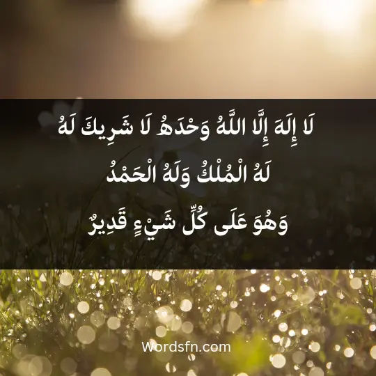  لَا إِلَهَ إِلَّا اللَّهُ وَحْدَهُ لَا شَرِيكَ لَهُ، لَهُ الْمُلْكُ وَلَهُ الْحَمْدُ، وَهُوَ عَلَى كُلِّ شَيْءٍ قَدِيرٌ