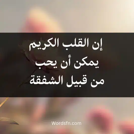 Dostoevsky-sayings - فن العبارات إن القلب الكريم يمكن أن يحب من قبيل الشفقة