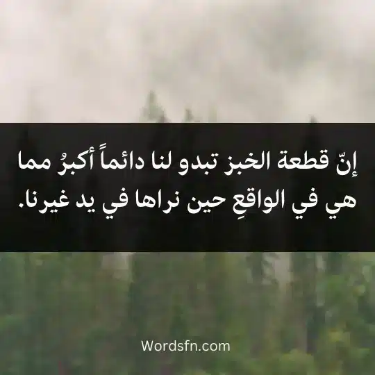 Dostoevsky-sayings3 - فن العبارات إنّ قطعة الخبز تبدو لنا دائماً أكبرُ مما هي في الواقعِ حين نراها في يد غيرنا.