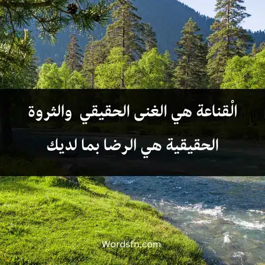 الْقناعة هي الغنى الحقيقي ، والثروة الحقيقية هي الرضا بما لديك