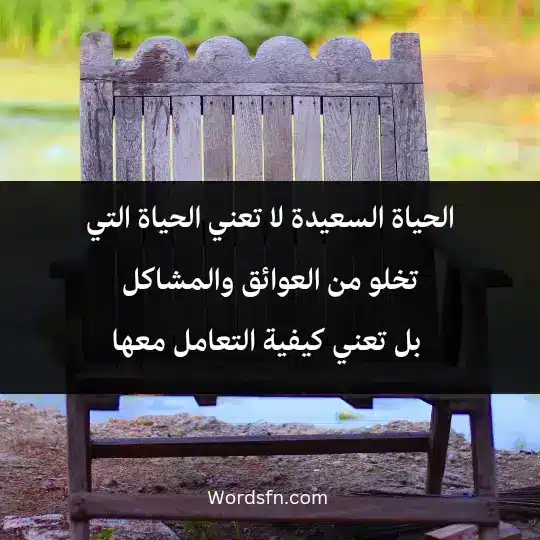 الحياة السعيدة لا تعني الحياة التي تخلو من العوائق والمشاكل، بل تعني كيفية التعامل معها