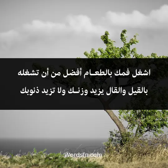 اشغل فمك بالطعـام أفضل من أن تشغله بالقيل والقال.. يزيد وزنـك ولا تزيد ذنوبك