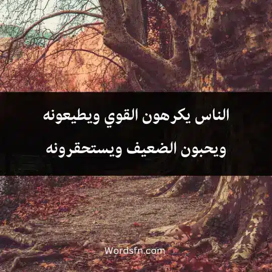 From the sayings of Dostoevsky 1 - فن العبارات الناس يكرهون القوي ويطيعونه، ويحبون الضعيف ويستحقرونه