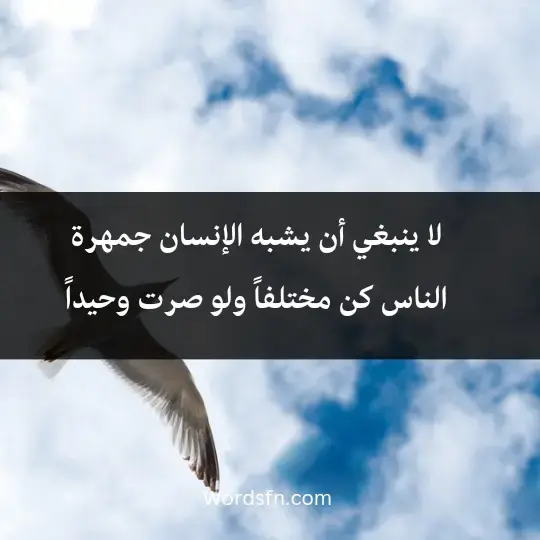 From the sayings of Dostoevsky 3 - فن العبارات لا ينبغي أن يشبه الإنسان جمهرة الناس، كن مختلفاً ولو صرت وحيداً