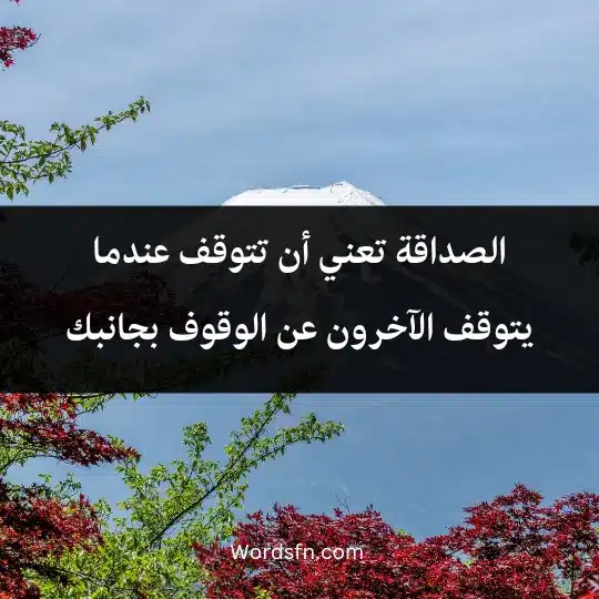 الصداقة تعني أن تتوقف عندما يتوقف الآخرون عن الوقوف بجانبك