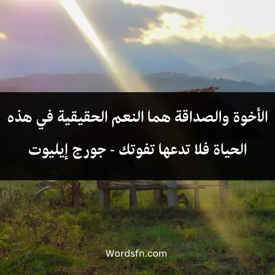 الأخوة والصداقة هما النعم الحقيقية في هذه الحياة، فلا تدعها تفوتك - جورج إيليوت