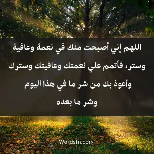 Morning prayer1 - فن العبارات اللهم إني أصبحت منك في نعمة وعافية وستر، فأتمم علي نعمتك وعافيتك وسترك، وأعوذ بك من شر ما في هذا اليوم وشر ما بعده