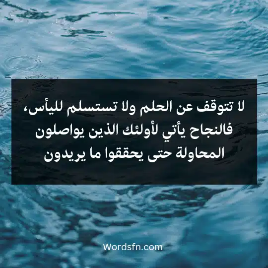 لا تتوقف عن الحلم ولا تستسلم لليأس، فالنجاح يأتي لأولئك الذين يواصلون المحاولة حتى يحققوا ما يريدون