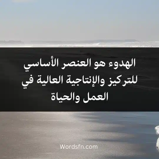 الهدوء هو العنصر الأساسي للتركيز والإنتاجية العالية في العمل والحياة