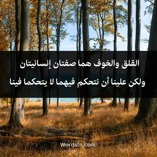 القلق والخوف هما صفتان إنسانيتان ، ولكن علينا أن نتحكم فيهما لا يتحكما فينا