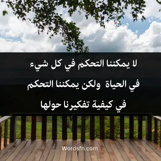 لا يمكننا التحكم في كل شيء في الحياة ، ولكن يمكننا التحكم في كيفية تفكيرنا حولها