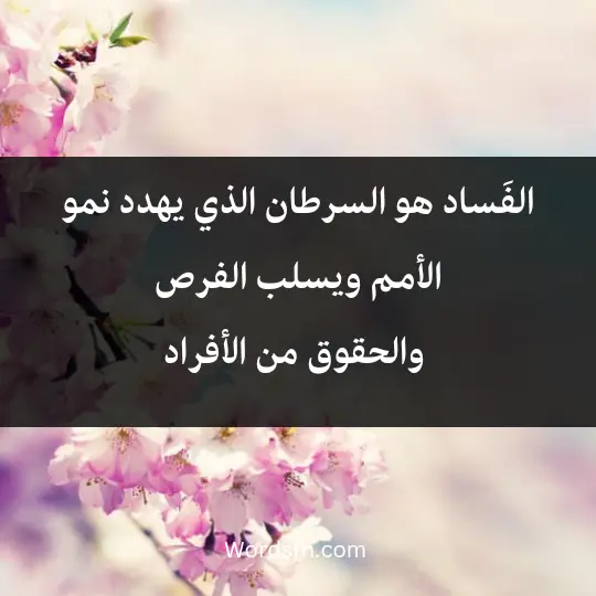 Phrases about fighting corruption1 - فن العبارات الفَساد هو السرطان الذي يهدد نمو الأمم ويسلب الفرص والحقوق من الأفراد