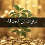 عبارات عن الصدقة