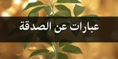 عبارات عن الصدقة