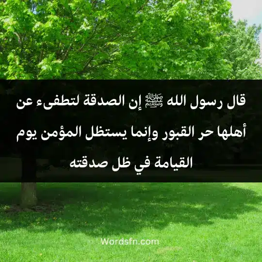قال رسول الله ﷺ : "إن الصدقة لتطفىء عن أهلها حر القبور وإنما يستظل المؤمن يوم القيامة في ظل صدقته