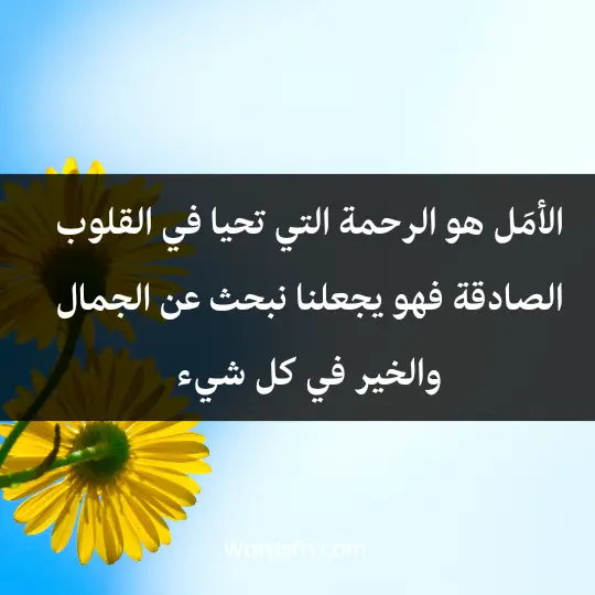 Phrases about hope in life 1 - فن العبارات الأمَل هو الرحمة التي تحيا في القلوب الصادقة، فهو يجعلنا نبحث عن الجمال والخير في كل شيء