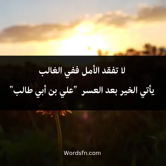 Phrases about hope in life 3 - فن العبارات لا تفقد الأمل، ففي الغالب يأتي الخير بعد العسر. علي بن أبي طالب