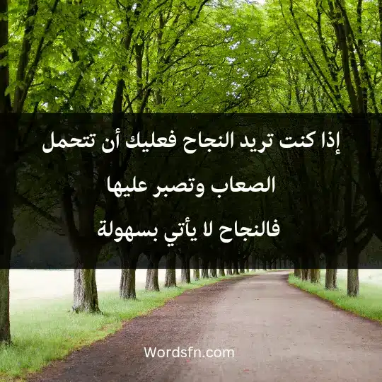 إذا كنت تريد النجاح فعليك أن تتحمل الصعاب وتصبر عليها، فالنجاح لا يأتي بسهولة