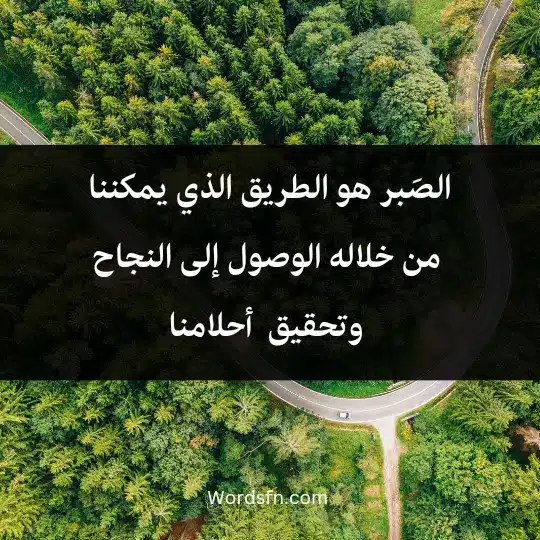الصَبر هو الطريق الذي يمكننا من خلاله الوصول إلى النجاح والتحقق من أحلامنا.