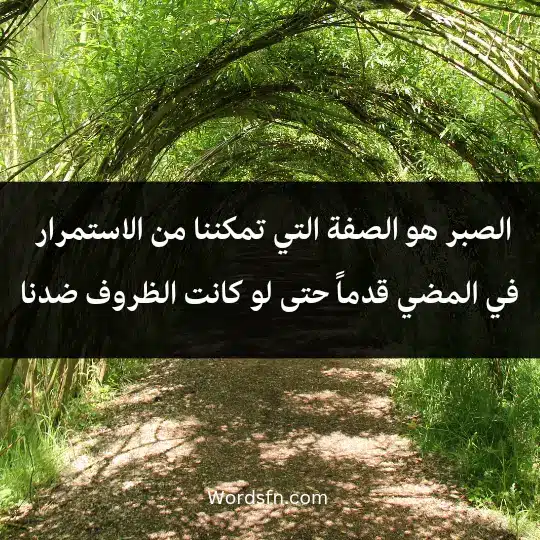 الصبر هو الصفة التي تمكننا من الاستمرار في المضي قدماً، حتى لو كانت الظروف ضدنا