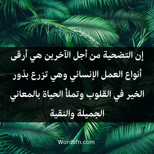 Phrases about sacrifice for others1 - فن العبارات إن التضحية من أجل الآخرين هي أرقى أنواع العمل الإنساني، وهي تزرع بذور الخير في القلوب وتملأ الحياة بالمعاني الجميلة والنقية.