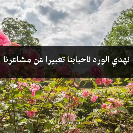 نهدي الورد لاحبابنا تعبيرا عن مشاعرنا