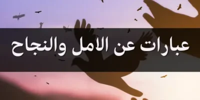 عبارات عن الامل والنجاح