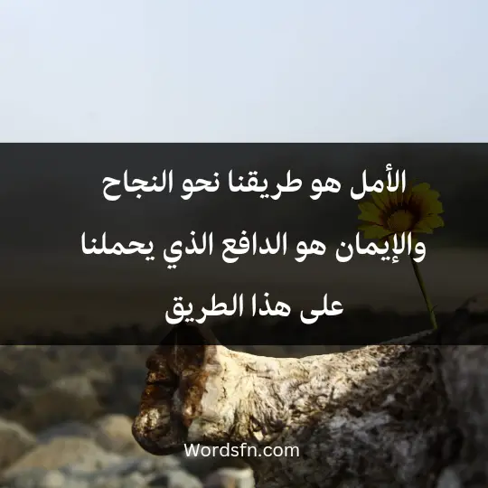 الأمل هو طريقنا نحو النجاح، والإيمان هو الدافع الذي يحملنا على هذا الطريق