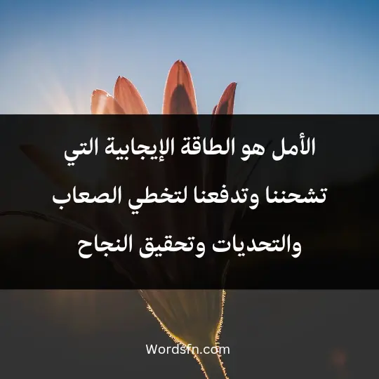 الأمل هو الطاقة الإيجابية التي تشحننا وتدفعنا لتخطي الصعاب والتحديات وتحقيق النجاح