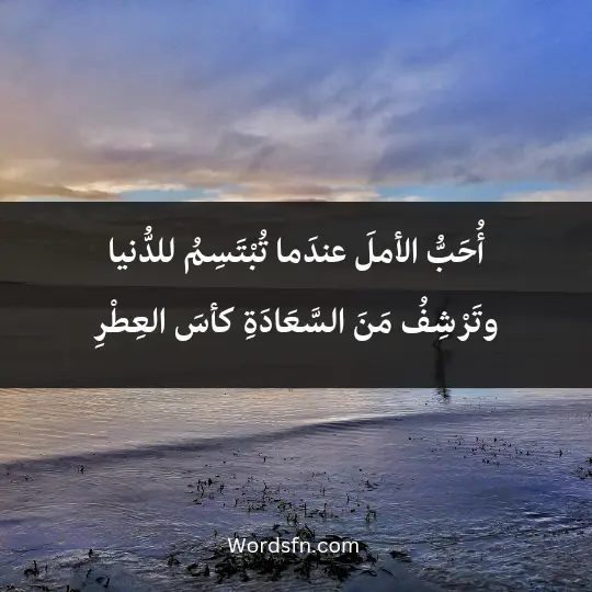 Poems Nasser Pharaohs1 - فن العبارات أُحَبُّ الأملَ عندَما تُبْتَسِمُ للدُّنيا وتَرْشِفُ مَنَ السَّعَادَةِ كأسَ العِطْرِ