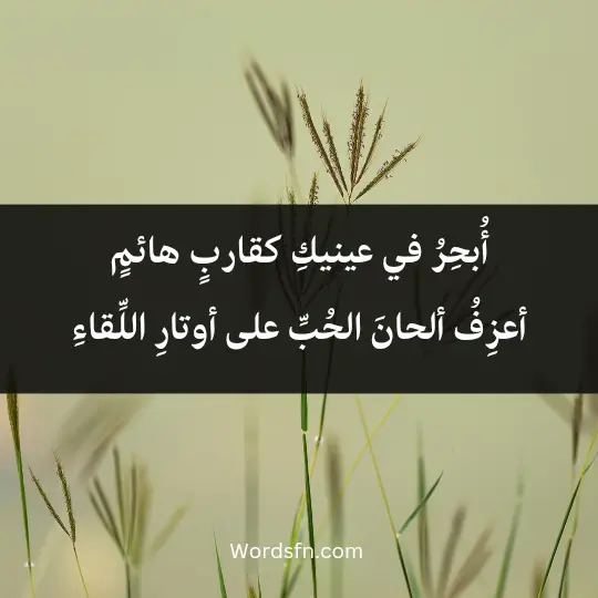 Poems Nasser Pharaohs2 - فن العبارات أُبحِرُ في عينيكِ كقاربٍ هائمٍ أعزِفُ ألحانَ الحُبِّ على أوتارِ اللِّقاءِ