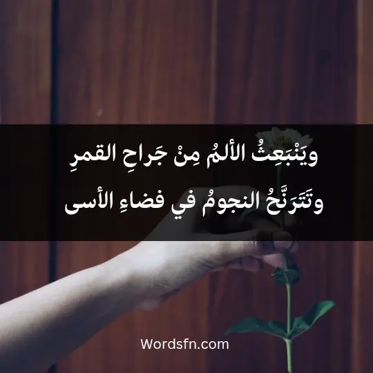 Poems Nasser Pharaohs3 - فن العبارات ويَنْبَعِثُ الألمُ مِنْ جَراحِ القمرِ وتَتَرَنَّحُ النجومُ في فضاءِ الأسى