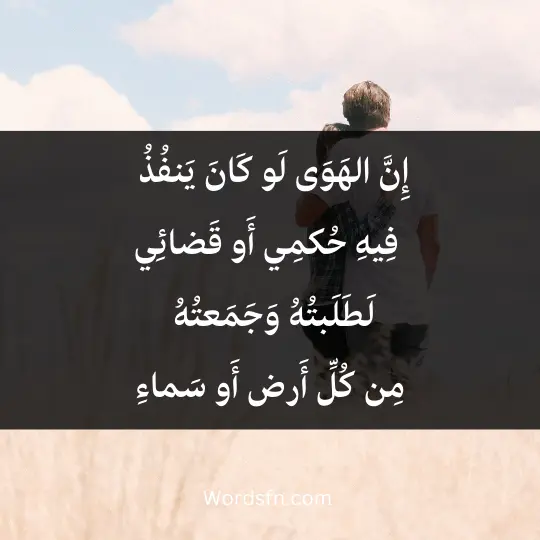 إِنَّ الهَوَى لَو كَانَ يَنفُذُ * فِيهِ حُكمِي أَو قَضائِي لَطَلَبتُهُ وَجَمَعتُهُ * مِن كُلِّ أَرض أَو سَماءِ