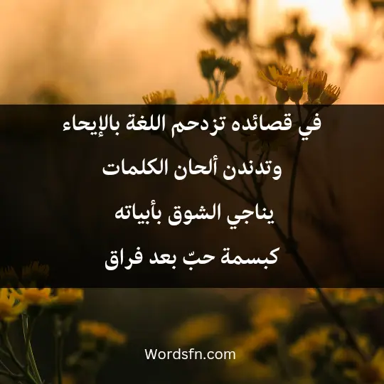 في قصائده تزدحم اللغة بالإيحاء وتدندن ألحان الكلمات. يناجي الشوق بأبياته، كبسمة حبّ بعد فراق
