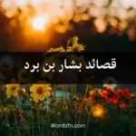 قصائد بشار بن برد