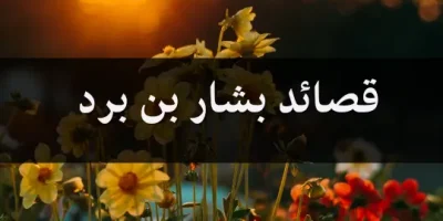 قصائد بشار بن برد