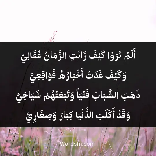 أَلَمْ تَرَوْا كَيْفَ زَانَتِ الزَّمَانُ عُقَالِيّ وَكَيْفَ غَدَتْ أَخْبَارُهُ فَوَاقِعِيَّ ذَهَبَ الشَّبَابُ فَتْيَاً وَتَبَعَتْهُمْ شَيَاخِيَّ وَقَدْ أَكَلَتِ الدُّنْيَا كِبَارَ وَصِغَارِيَّ