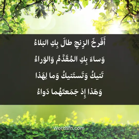 أَفَرخَ الزِنجِ طالَ بِكِ البَلاءُ وَساءَ بِكِ المُقَدَّمُ وَالوَراءُ تَنيكُ وَتَستَنيكُ وَما لِهَذا وَهَذا إِذ جَمَعتَهُما دَواءُ