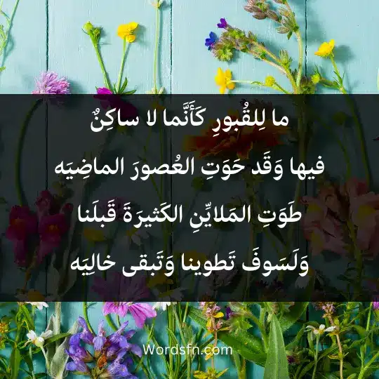 ما لِلقُبورِ كَأَنَّما لا ساكِنٌ فيها وَقَد حَوَتِ العُصورَ الماضِيَه طَوَتِ المَلايِّنِ الكَثيرَةَ قَبلَنا وَلَسَوفَ تَطوينا وَتَبقى خالِيَه